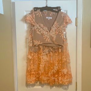 Dress the Population 2 pc set